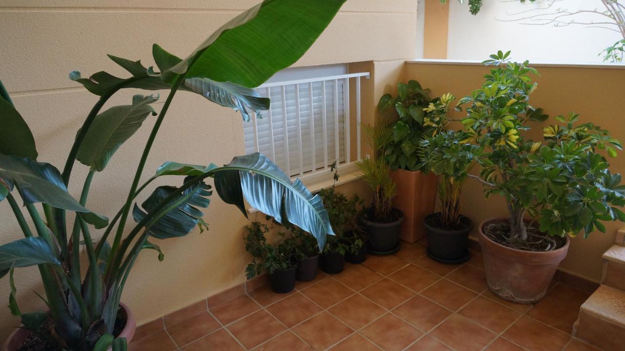 Bastinazo Alohadream - Premium - Duplex Lujo Recien Reformado Con Jardin, Piscina, Parking, Aire Acondicionado - Los Canos De Meca - 50M Playa Eksteriør bilde